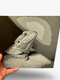 Bearded Dragon 3D printed Image