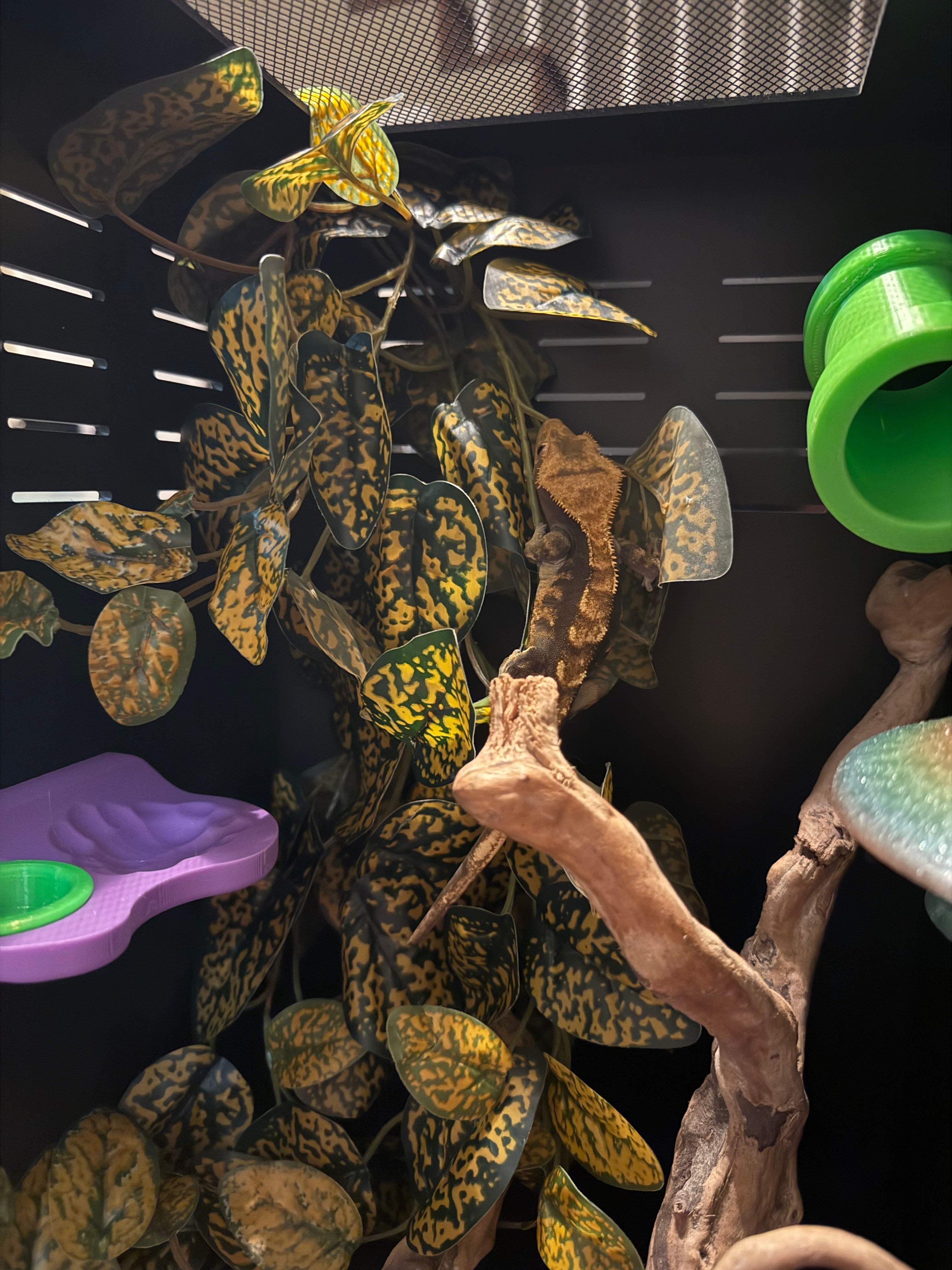 Gecko Tube Hide