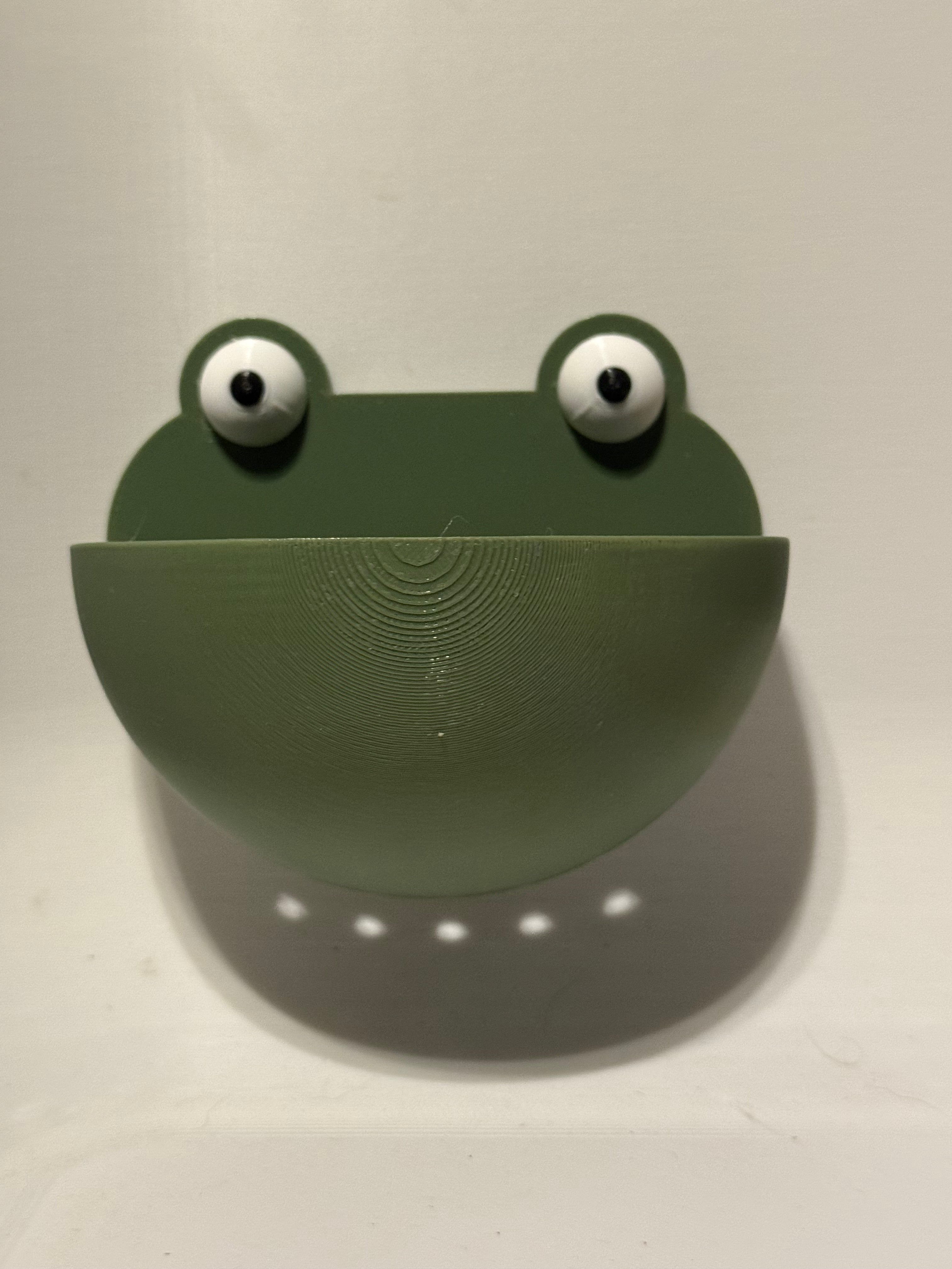 Frog Ledge