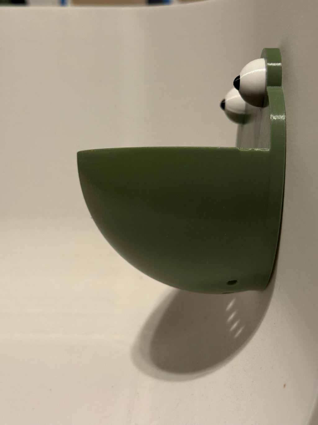 Frog Ledge